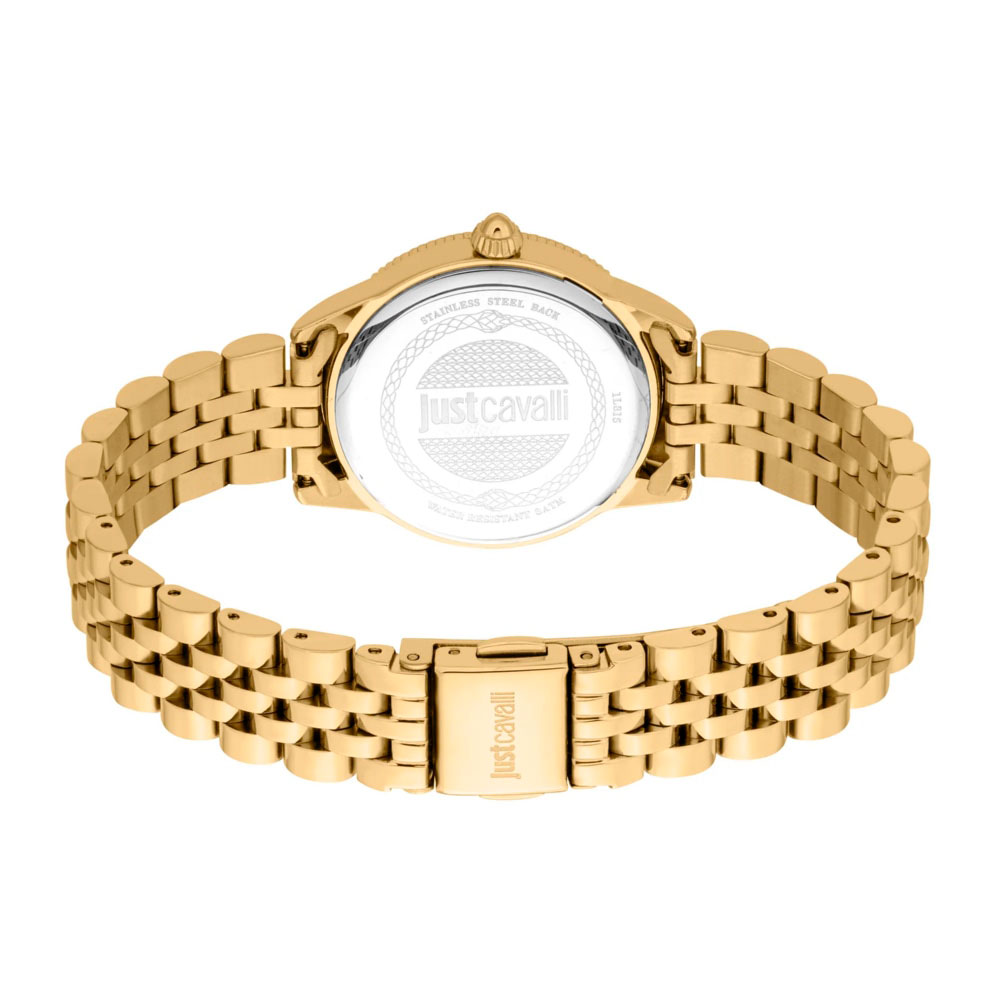Just Cavalli JC1L315M0065_SET